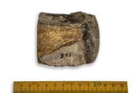 F 00943
          <br/>
          
          <br/>
          <em></em>